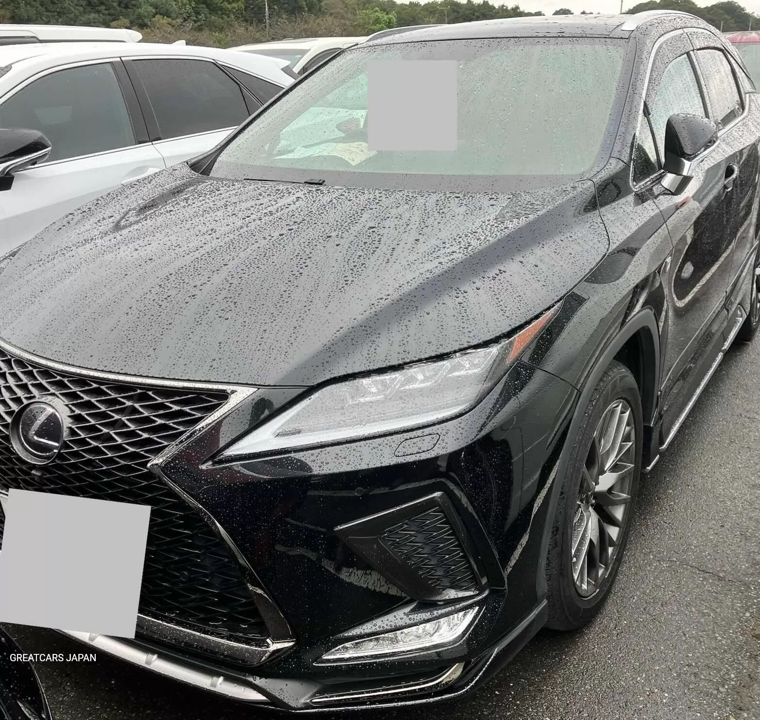 Affordable Lexus Black 2wd 2018